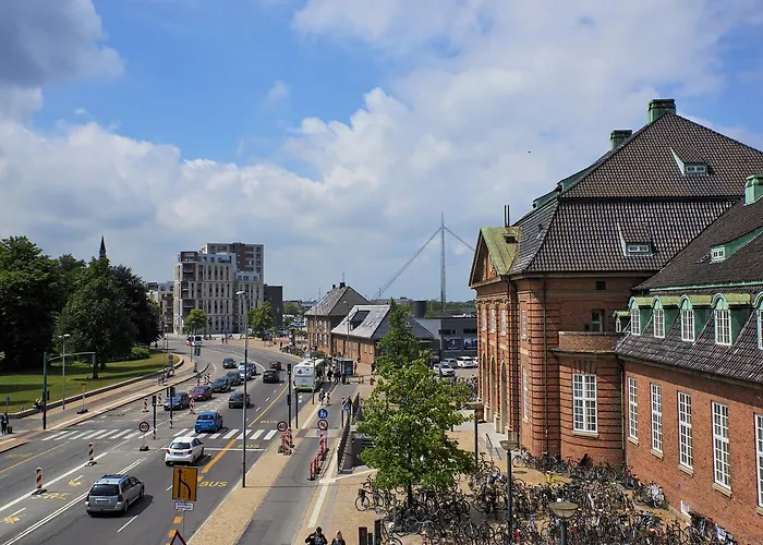 Danhostel אודנזה